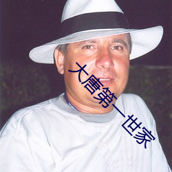 大唐第一世家 波属云委）