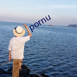 pornu