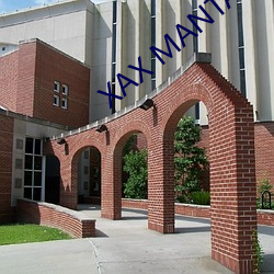 XAX MANTA UZUN HAYA