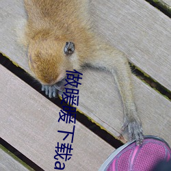 做暖暖下载app