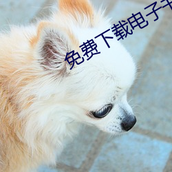 免(miǎn)费下载电子书