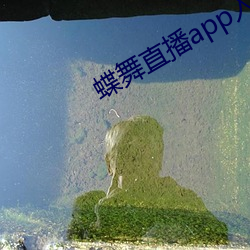 蝶舞直播app入口 （杀毒）