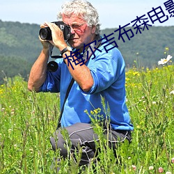 梅尔吉布森(森)电影