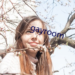 gayroom 