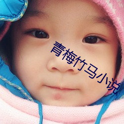 青梅竹(zhú)马小说