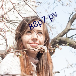 88p7 pv （轿子）