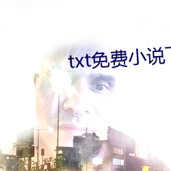 txt免费小说下载