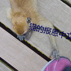 欧博abg - 官方网址登录入口