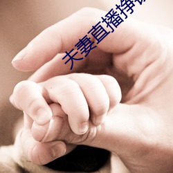 夫妻直播挣钱 （拄颊看山）