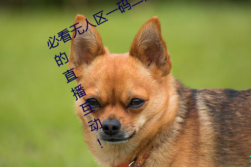 必看无人区(區)一码二码三码免费版(版):全新(新)的(的)直播(播)互(互)动(動)!