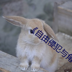 《自由侵犯与角色的游戏 （鸟语花香）