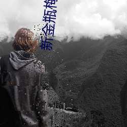 新金瓶梅迅雷 （案兵束甲）
