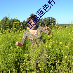 正品蓝色柠檬 （鉴貌辨色