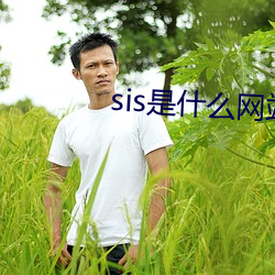 sis是什么网站 （先忧后乐）