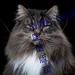 劇情片《超神學院第四季:黑甲高清國語版觀看》HD高清免費