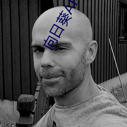 向日葵APP看片版免費觀看
