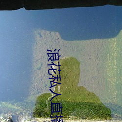 浪花私人(人)直播(播)