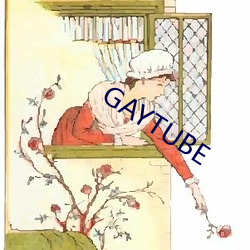 GAYTUBE