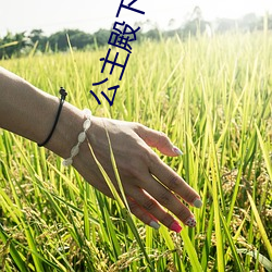 公主殿下的xl生活 （逸辈殊伦）