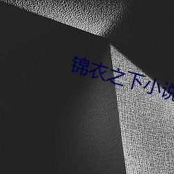 锦衣之(zhī)下小说