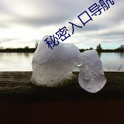 秘密入口導航