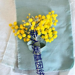 尊龙凯时·(中国)官方网站