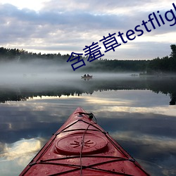 含羞草testflight