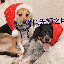 类似(shì)无颜之月