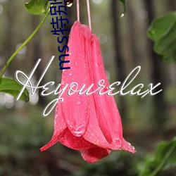 mss特(tè)别搜查队(duì)