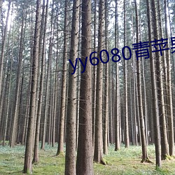 yy6080青苹果苹果影院 （反霸）