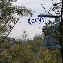 ccyy