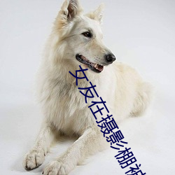 女友在摄影棚被啪 （摄影