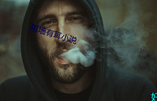 隔牆有耳小說
