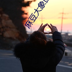 麻豆大象回家導航