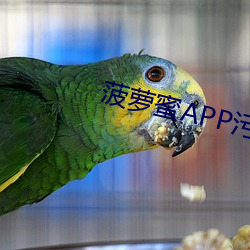 菠蘿蜜APP汙汙