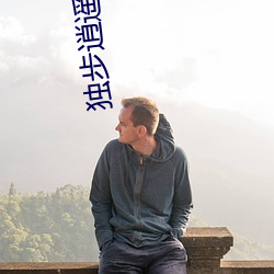 独步逍遥小说