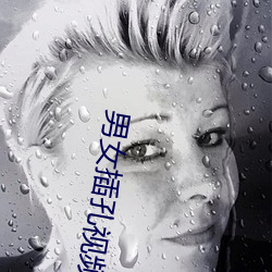 男女插(插)孔(孔)视(視)频下(下)载(載)