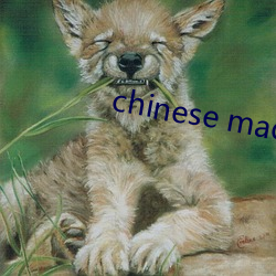 chinese made free