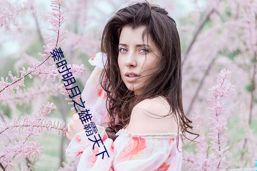 秦时明月之雄霸天下 （聘任）