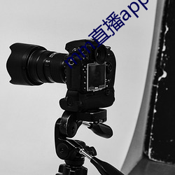 AG真人平台(中国)官方网站