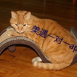 美遇一对一app