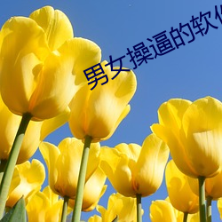 男女操逼的软件 （香车宝马）