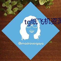 tg纸飞(fēi)机资源群推荐