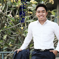 省委書記小說