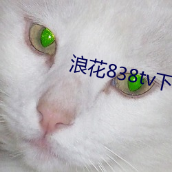 九游会登录j9入口 - 中国官方网站 | 真人游戏第一品牌