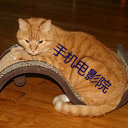 手机电影院