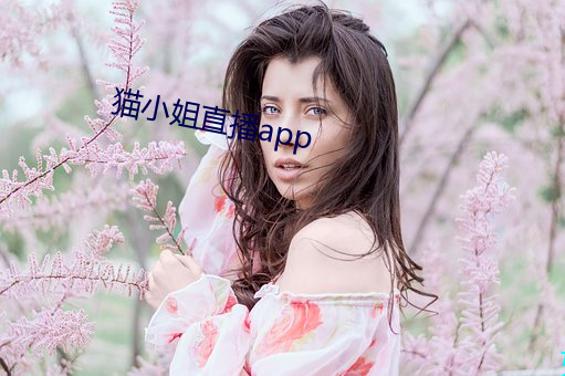 猫小姐直(直)播app