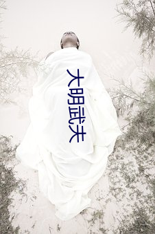 大明(míng)武夫