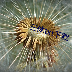 三體txt下載