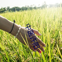 中医许阳 （窃锺掩耳）